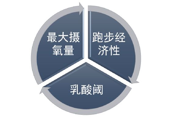 有氧耐力数字越大越好吗_有氧耐力运动又称_氧耐力和有氧耐力